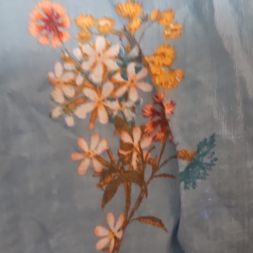 EUC Anthro Ana Blouse - Picture 5 of 5